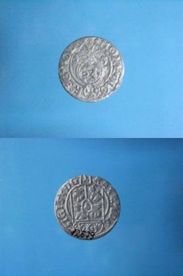 poltură 1624