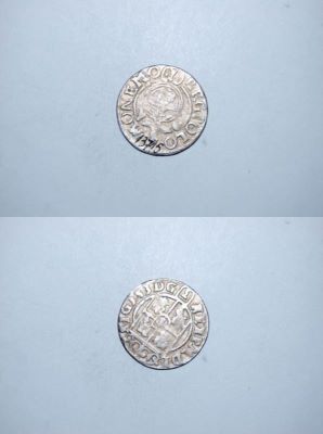 poltură 1624