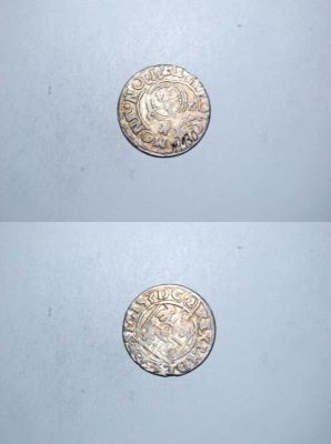 poltură 1623