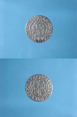 poltură 1624