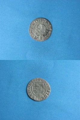 poltură 1624