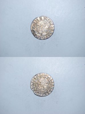 poltură 1624