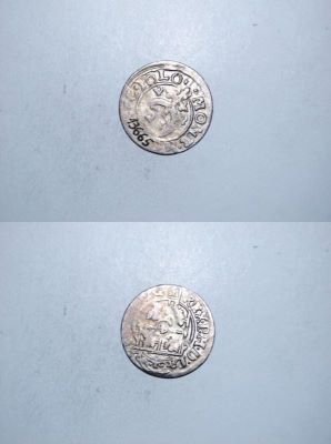poltură 1623
