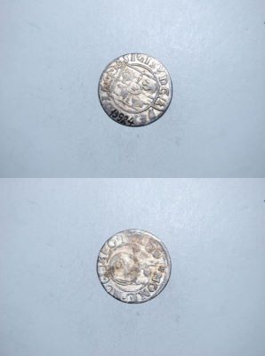 poltură 1625