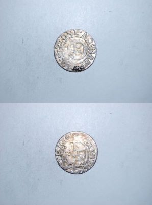 poltură 1624