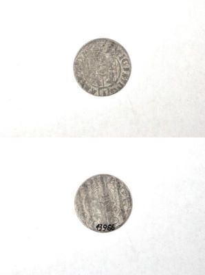 poltură 1624