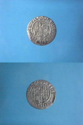 poltură 1624