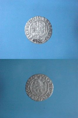 poltură 1624