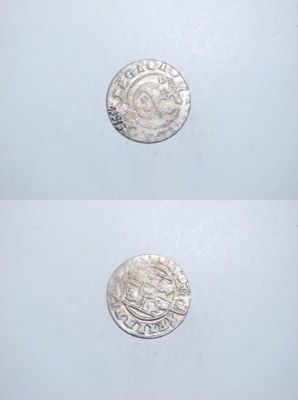 poltură 1624