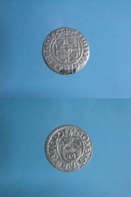 poltură 1623