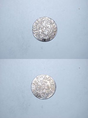 poltură 1623