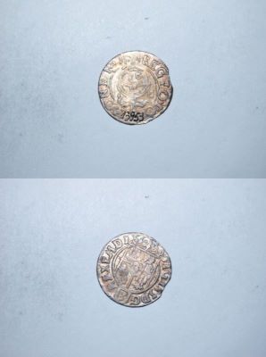poltură 1624
