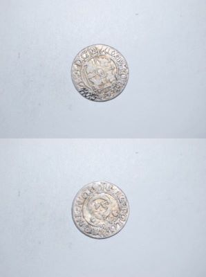 poltură 1624