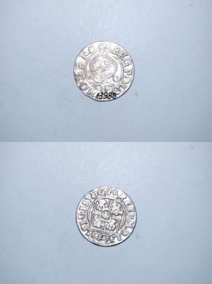 poltură 1624