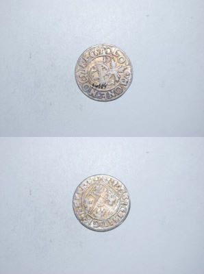 poltură 1623
