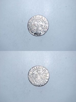 poltură 1624