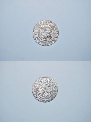poltură 1624