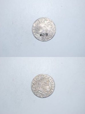 poltură 1624