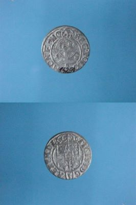 poltură 1623