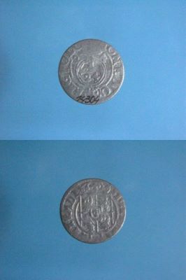 poltură 1624