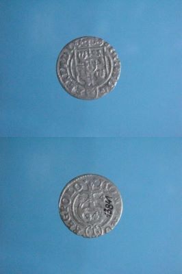 poltură 1624