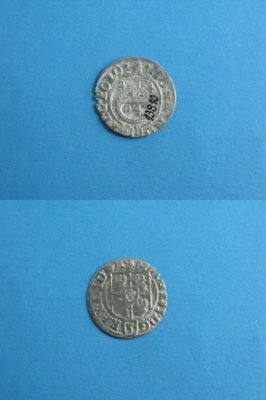poltură 1624