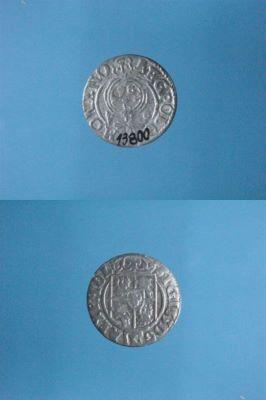 poltură 1624