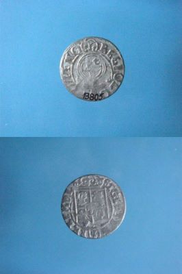 poltură 1624