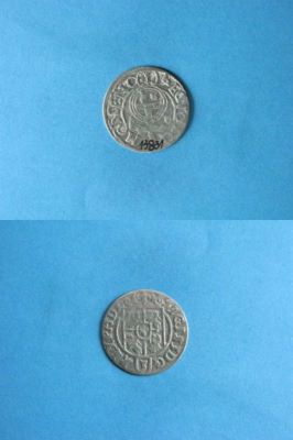 poltură 1624