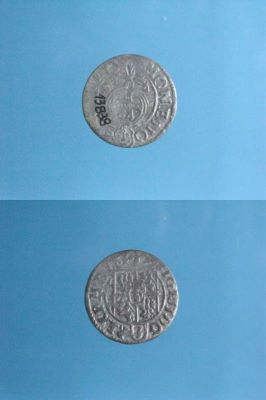 poltură 1624
