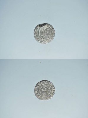 poltură 1624