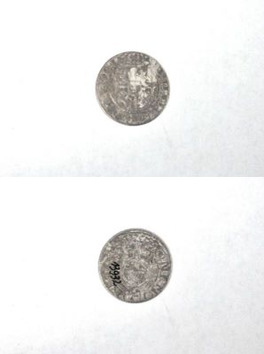 poltură 1624