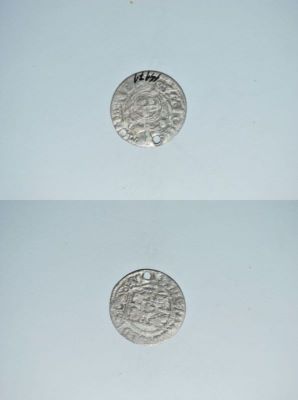 poltură 1624