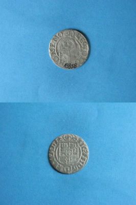 poltură 1624