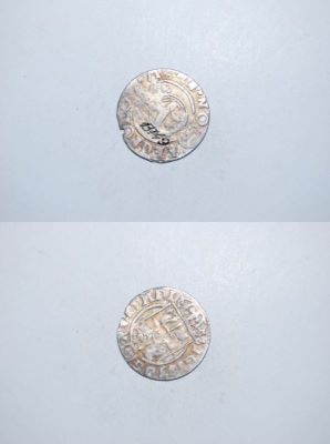poltură 1624