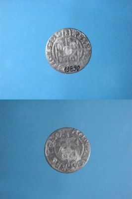 poltură 1624