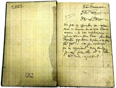 Manuscris - Theodor Pallady - autor; Jurnal