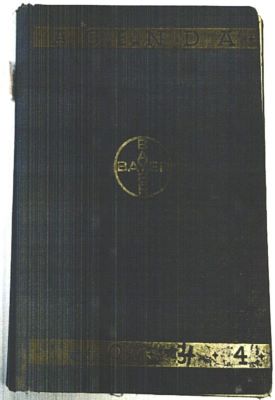 Manuscris - Theodor Pallady - autor; Jurnal