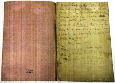 Manuscris - Theodor Pallady - autor; Jurnal