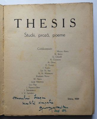 buletin - Colectiv; Thesis