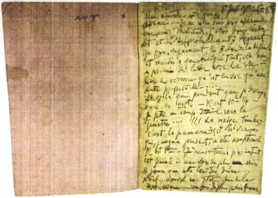 Manuscris - Theodor Pallady - autor; Jurnal