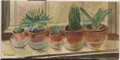 pictură de șevalet - Eleutheriade, Micaela; Cactuși