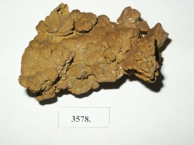 Dolomit; rocă sedimentară