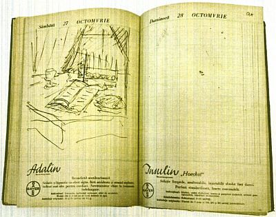 Manuscris - Theodor Pallady - autor; Jurnal