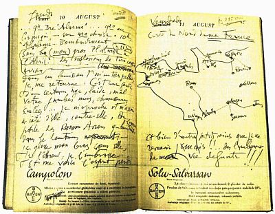 Manuscris - Theodor Pallady - autor; Jurnal