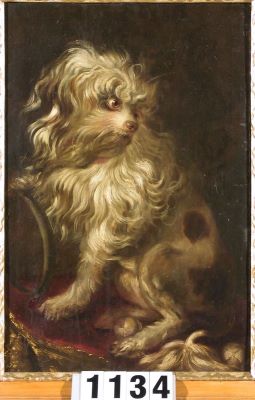 Pictură de șevalet - Stock, Johann Martin; Cățeluș bolognez