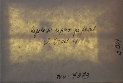 Negativ. Clișeu pe sticlă uscat - Necunoscut; Regele și regina pe front Valea Ocnei 1917