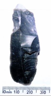 lamă; Lame moyenne