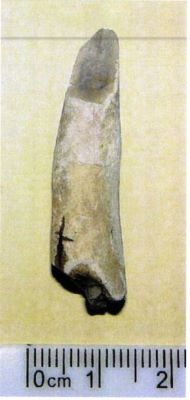 vârf; Pointe