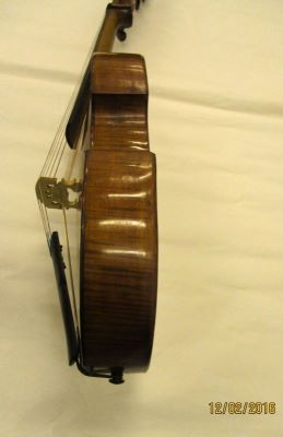 violă; Viola d'amore